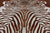 Brown Zebra Animal Print Natural Cowhide Rug - XX-Large 7' 10"H x 6' 6"W