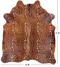 Thumbnail for Deer Animal Print Natural Cowhide Rug - X-Large 7' 0