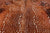 Deer Animal Print Natural Cowhide Rug - X-Large 7' 0"H x 5' 9"W