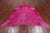 Pink Dyed Cowhide Natural Cowhide Rug - X-Large 7' 0"H x 6' 7"W