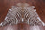 Brown Zebra Animal Print Natural Cowhide Rug - X-Large 7' 2"H x 6' 5"W