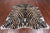Zebra Animal Print Natural Cowhide Rug - XX-Large 7' 5"H x 6' 3"W