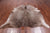 Champagne Natural Cowhide Rug - XX-Large 7' 4"H x 6' 9"W