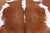 Brown & White Natural Cowhide Rug - Large 6' 4"H x 6' 2"W
