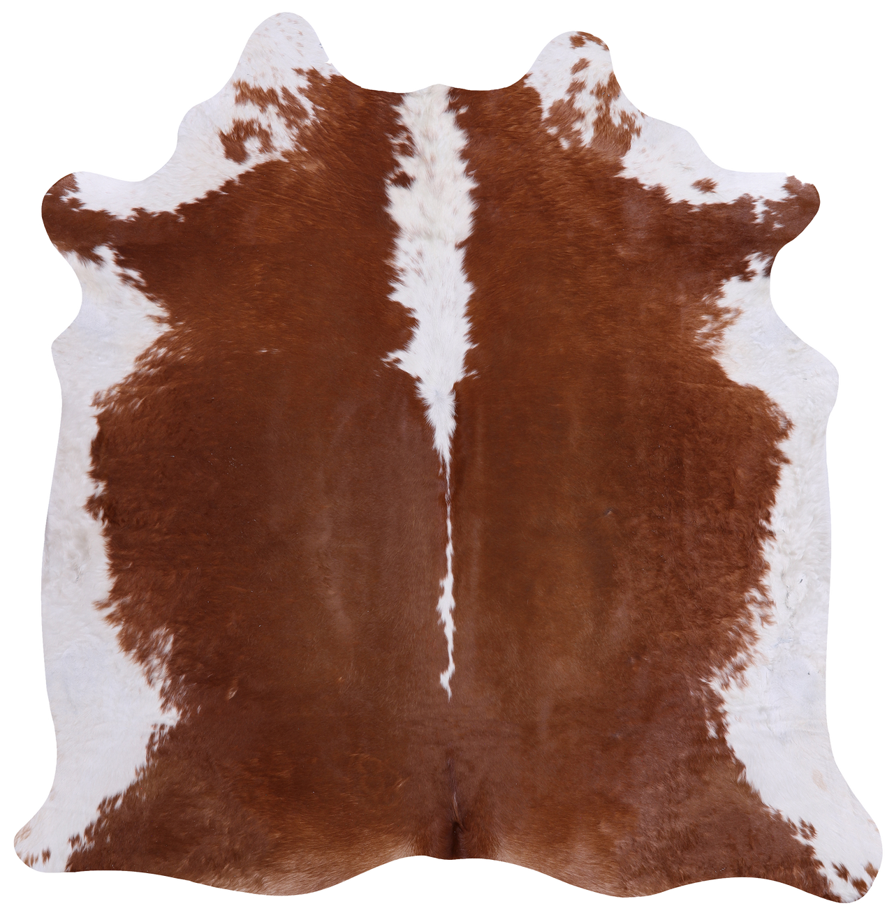 Brown & White Natural Cowhide Rug - Large 6' 4"H x 6' 2"W