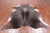 Dark Brown Natural Cowhide Rug - XX-Large 7' 5"H x 6' 5"W