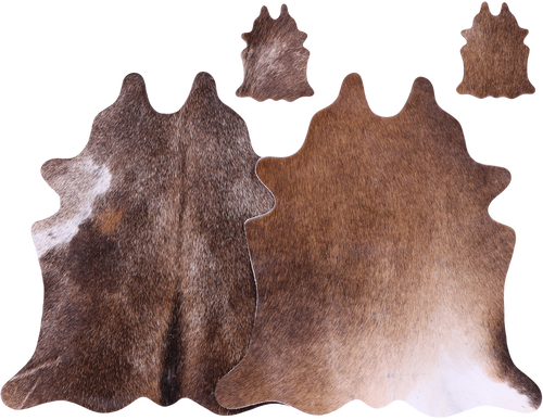 Brown Real Cowhide 2 Placemats With 2 Coasters - Set Of Two