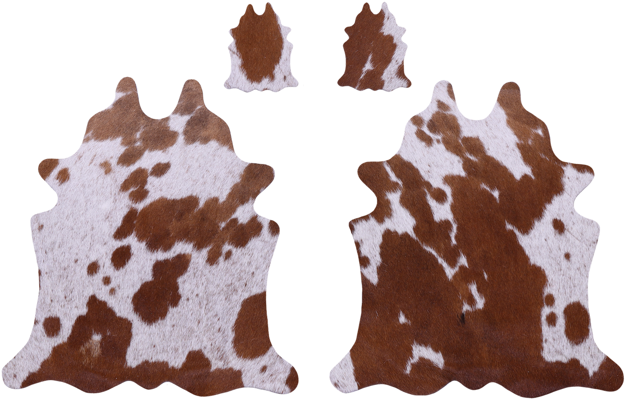 Brown & White Real Cowhide 2 Placemats With 2 Coasters - Set Of Two