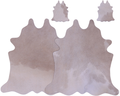 Champagne Real Cowhide 2 Placemats With 2 Coasters - Set Of Two