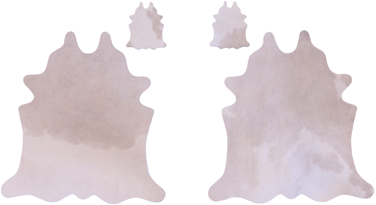 Champagne Real Cowhide 2 Placemats With 2 Coasters - Set Of Two