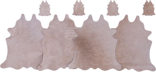 Champagne Real Cowhide 4 Placemats With 4 Coasters - Set Of Four