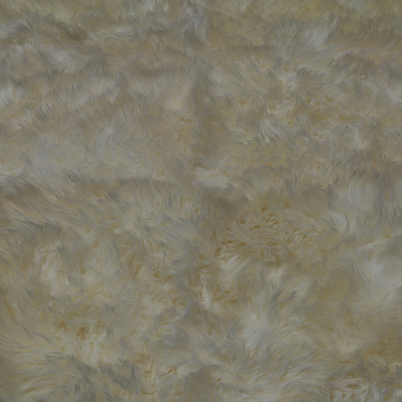 100% Natural New Zealand Sheepskin Ivory 5' 0" x 6' 0"