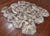 100% Natural New Zealand Sheepskin Wolf 5' 0" x 6' 0"