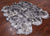 100% Natural New Zealand Sheepskin Black Tip 5' 0" x 6' 0"