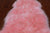 100% Natural New Zealand Sheepskin Pink 2' 0" x 3' 0"