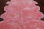 100% Natural New Zealand Sheepskin Pink 6' 0" x 9' 0"