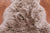 100% Natural New Zealand Sheepskin Taupe 2' 0" x 3' 0"