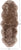 100% Natural New Zealand Sheepskin Taupe 2' 0" x 6' 0"