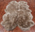 100% Natural New Zealand Sheepskin Taupe 4' 0" x 6' 0"