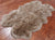 100% Natural New Zealand Sheepskin Taupe 4' 0" x 6' 0"