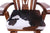 Wooden Rocking Chair Handcarved Back Sunflower Removable Hair-On Cowhide Pillow