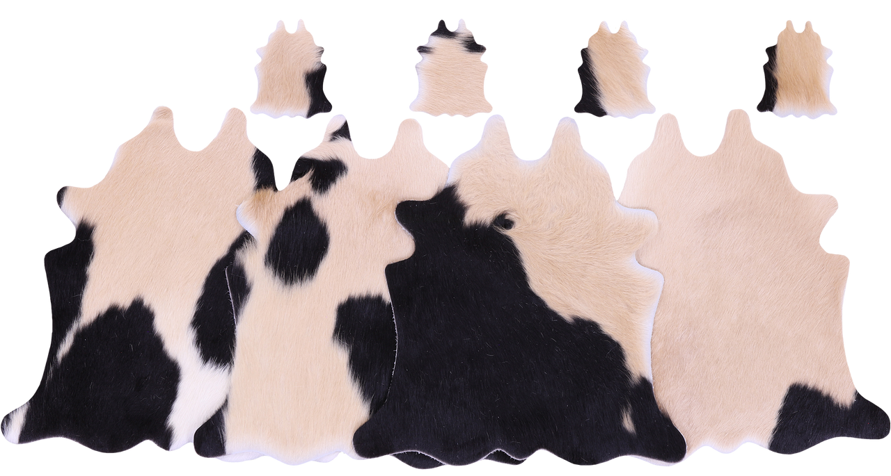 Tricolor Real Cowhide 4 Placemats With 4 Coasters - Set Of Four