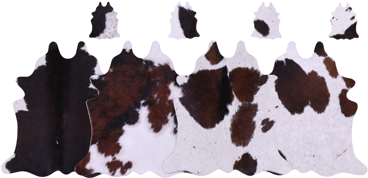 Tricolor Real Cowhide 4 Placemats With 4 Coasters - Set Of Four