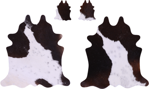 Tricolor Real Cowhide 2 Placemats With 2 Coasters - Set Of Two