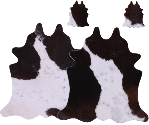 Tricolor Real Cowhide 2 Placemats With 2 Coasters - Set Of Two