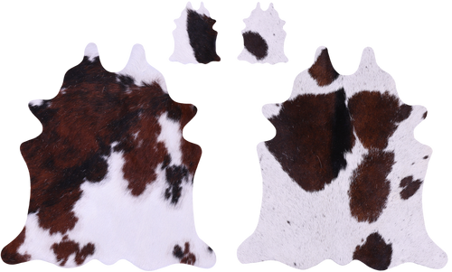 Tricolor Real Cowhide 2 Placemats With 2 Coasters - Set Of Two