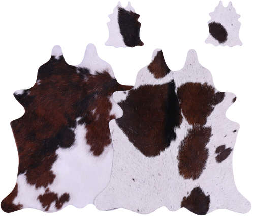 Tricolor Real Cowhide 2 Placemats With 2 Coasters - Set Of Two