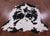 Black & White Natural Cowhide Rug - XLarge 7'3"H x 6'4"W