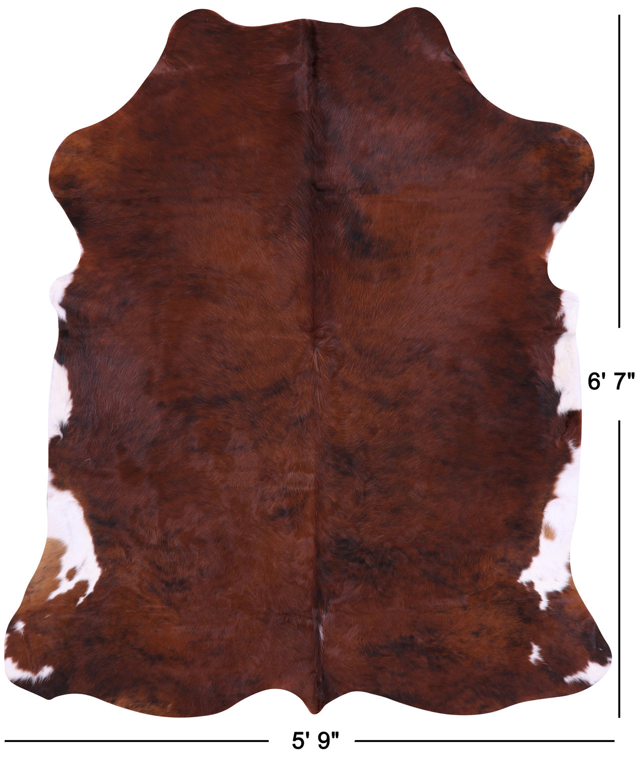 Brown Natural Cowhide Rug - Large 6'7"H x 5'9"W