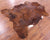 Brindle Brown Natural Cowhide Rug - Large 6'9"H x 5'11"W