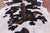 Tricolor Natural Cowhide Rug - XLarge 7'4"H x 6'2"W