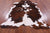 Brown & White Natural Cowhide Rug - Large 6'11"H x 5'10"W