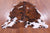 Brown & White Natural Cowhide Rug - Large 6'6"H x 5'7"W