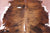 Brindle Brown Natural Cowhide Rug - Large 7'1"H x 5'6"W