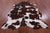 Brown & White Natural Cowhide Rug - Large 7'1"H x 5'10"W