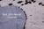 Salt & Pepper Natural Cowhide Rug - Large 7'4"H x 6'10"W