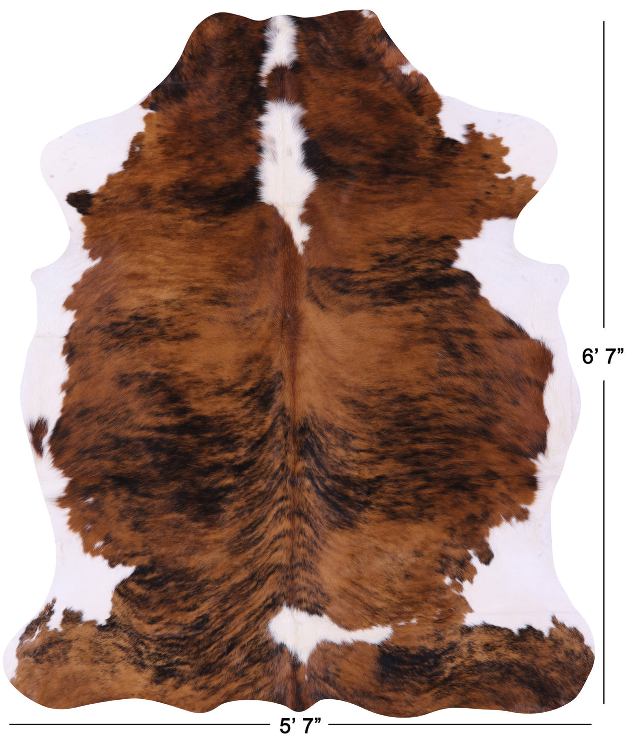 Brindle Brown & White Natural Cowhide Rug - Large 6'7"H x 5'7"W