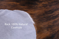 Thumbnail for Brindle Brown & White Natural Cowhide Rug - Large 6'7