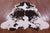 Brown & White Natural Cowhide Rug - Large 6'7"H x 5'8"W