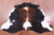 Tricolor Natural Cowhide Rug - X-Large 7'3"H x 6'2"W