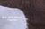 Light Brown Natural Cowhide Rug - Large 6'11"H x 6'0"W