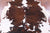 Brindle Natural Cowhide Rug - Large 6'11"H x 6'10"W