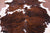 Brindle Brown & White Natural Cowhide Rug - Large 7'7"H x 6'4"W