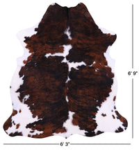 Thumbnail for Tricolor Natural Cowhide Rug - Large 6'9