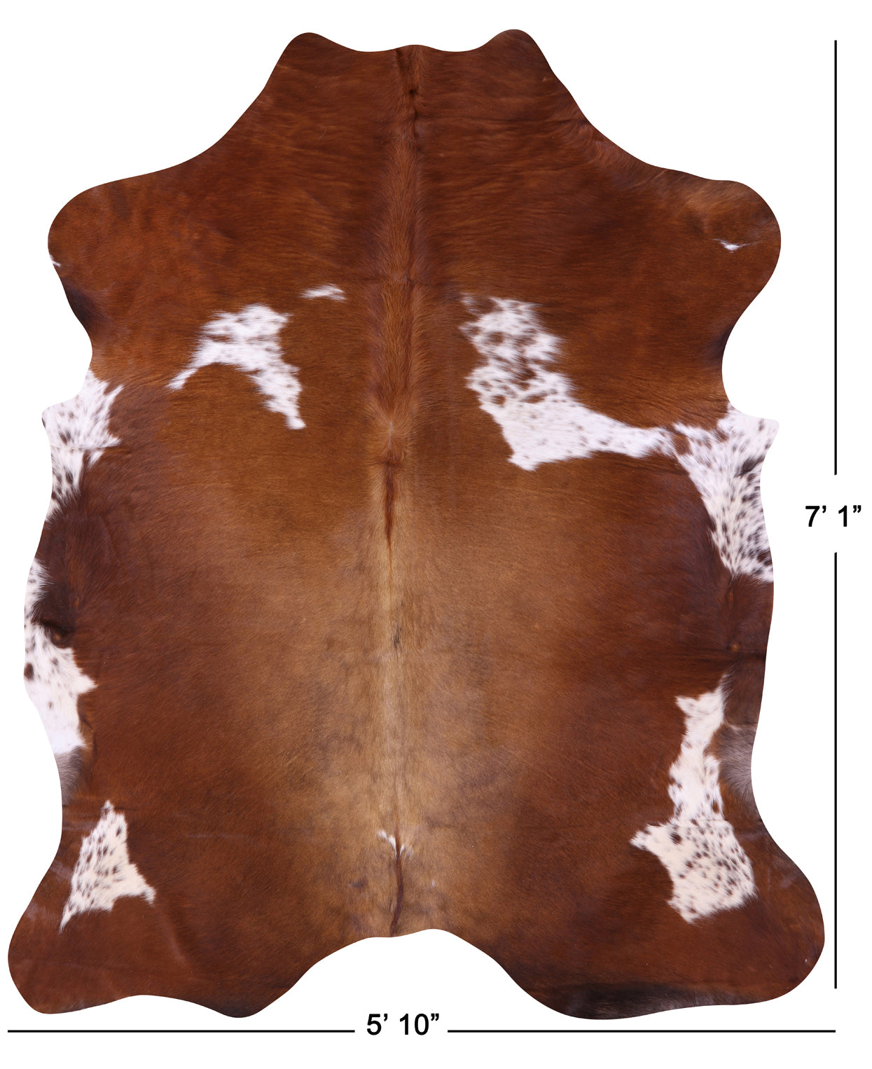 Brown & White Natural Cowhide Rug - Large 7'1"H x 5'10"W