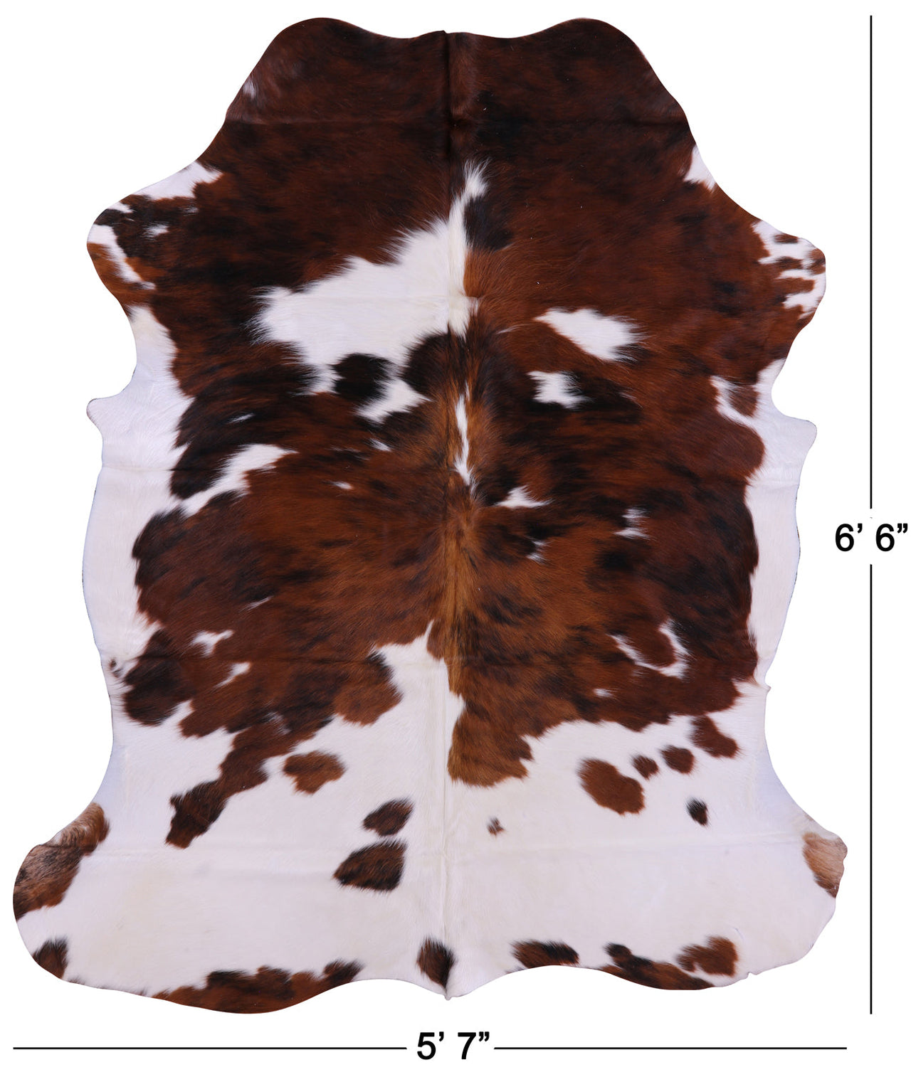 Brown & White Natural Cowhide Rug - Large 6'6"H x 5'7"W